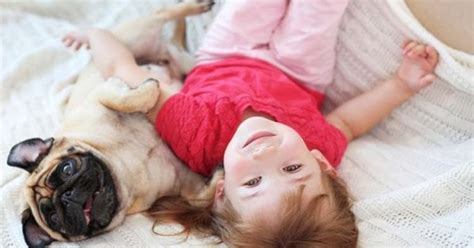 🎖 5 Razones Por Las Que Tener Un Perro Es Bueno Para Los Niños