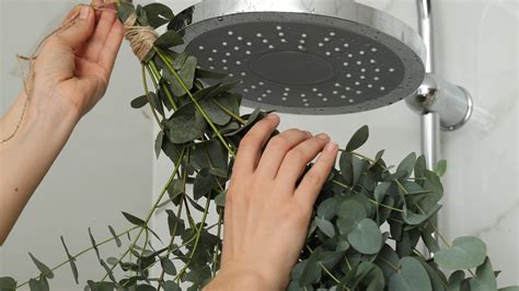 What To Know Before You Try The Trendy Eucalyptus Shower Trick