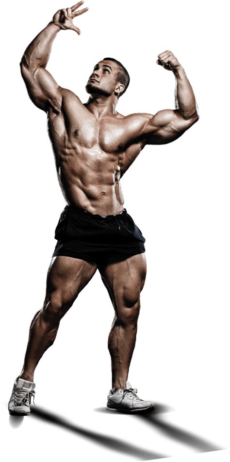 Bodybuilding Png Clipart Full Size Clipart 2928240 Pinclipart