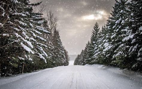Snow Trees Road Hd Wallpapers Wallpaper Cave