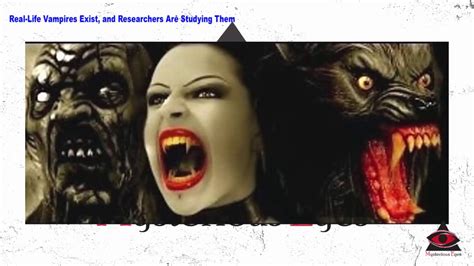 Real Life Vampires Exist And Researchers Are Studying Them Youtube