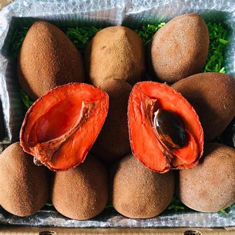 Mamey Sapote Fruit Box | Etsy