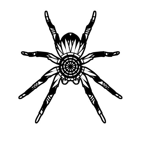 Download Spider Mandala Animals Svg | Mandala, Svg, Spider