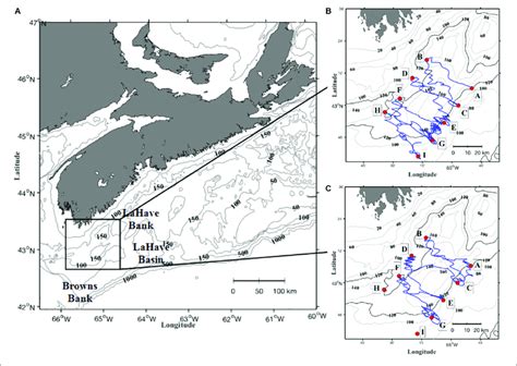 Location Of Roseway Basin On The Scotian Shelf A And Detailed