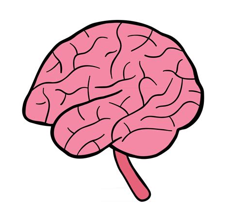 Cartoon Vector Illustration Of Human Brain 2779829 Vector Art At Vecteezy
