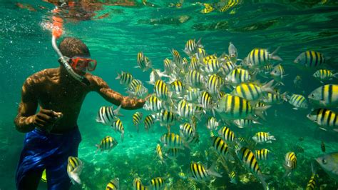 Snorkeling In Negril Jamaica The Best Spots And How To Make The Most Of Them Desertdivers