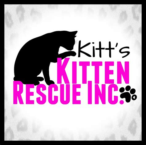 Must have wandered into the woods! Pets for Adoption at Kitt's Kitten Rescue, in Mesa, AZ ...