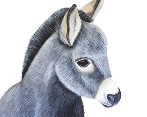Baby Donkey Art Print Grey Donkey Wall Art Ideal Nursery Etsy