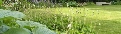 Hier haben landschaftsarchitekten ein stillgelegtes industriegebiet wieder für menschen zugänglich gemacht und zu einem freizeitfreibereich mit vielen angeboten umgestaltet. Sichtschutz | Garten- und Landschaftsarchitekt Siegmar R ...