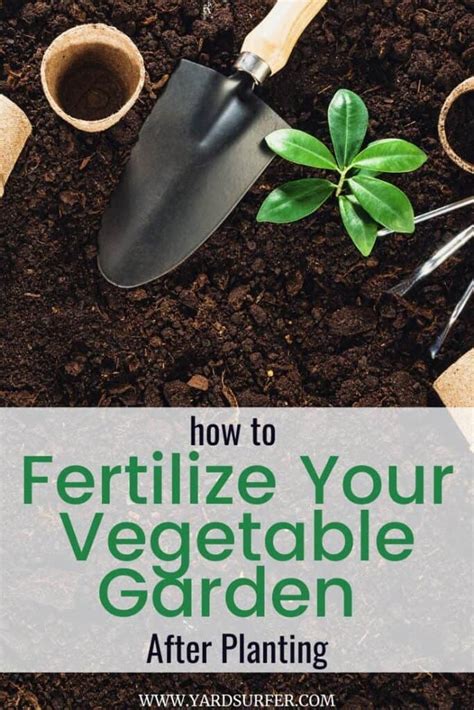 How To Fertilize Your Vegetable Garden After Planting Yard Surfer
