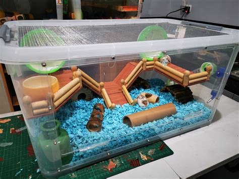Pin By Laurie Lafranchise On Hamster House Ideas Hamster Cages