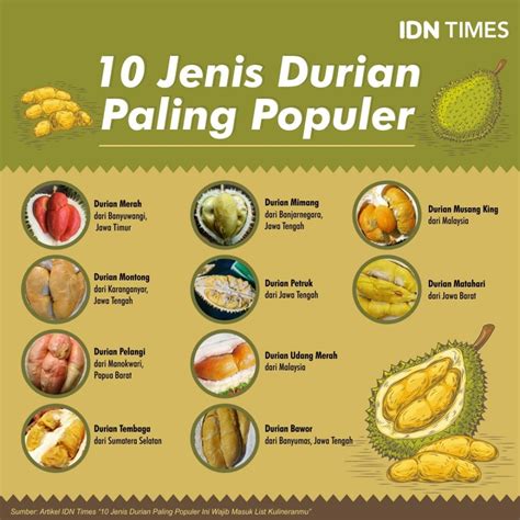 10 Jenis Durian Enak Paling Populer