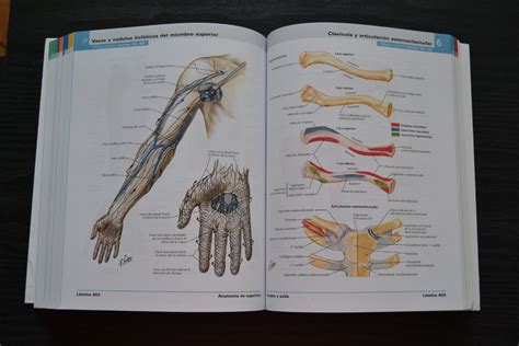 Atlas De Anatomia Humana 6 Edicion Cd Frank H Netter 20000 En