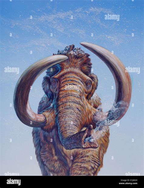 Woolly Mammoth Painting Hi Res Stock Photography And Images Alamy