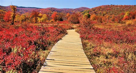 Blue Ridge Parkway Fall Color Top 20 Stops