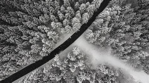 Download Wallpaper 2560x1440 Winter Trees Aerial View Snow Road