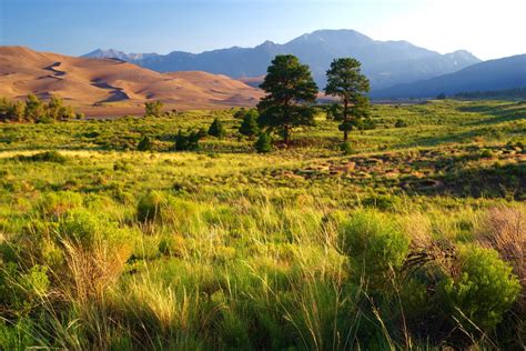 See 116 traveler reviews, 86 candid photos, and great deals for great sand dunes oasis, ranked #3 of 4 specialty lodging in colorado and rated 3.5 of 5 at tripadvisor. Great Sand Dunes Nat'l Park, Colorado - PentaxForums.com