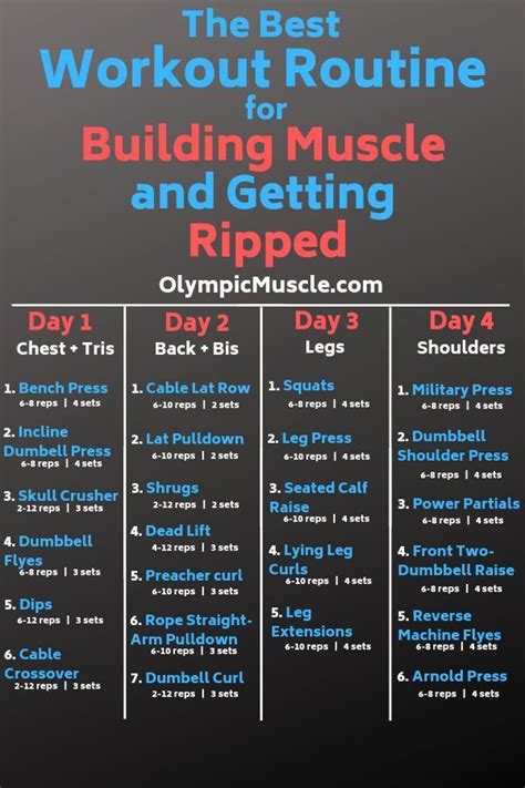 One new exercise is added to each bodypart routine to provide even more angles from which to train your target muscles to promote. Pin on Working On It
