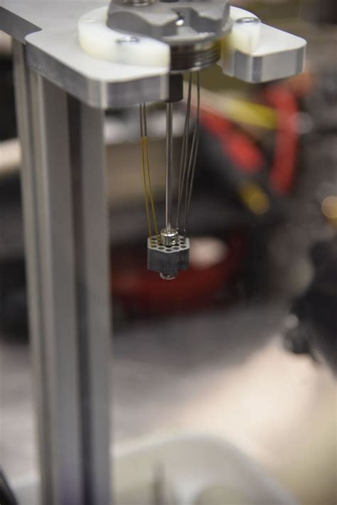 Plants realize that primary consumers need food so. Lifeboat News: The Blog