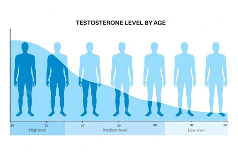 Premium Vector Testosterone Level Color Chart Sex Hormone Production
