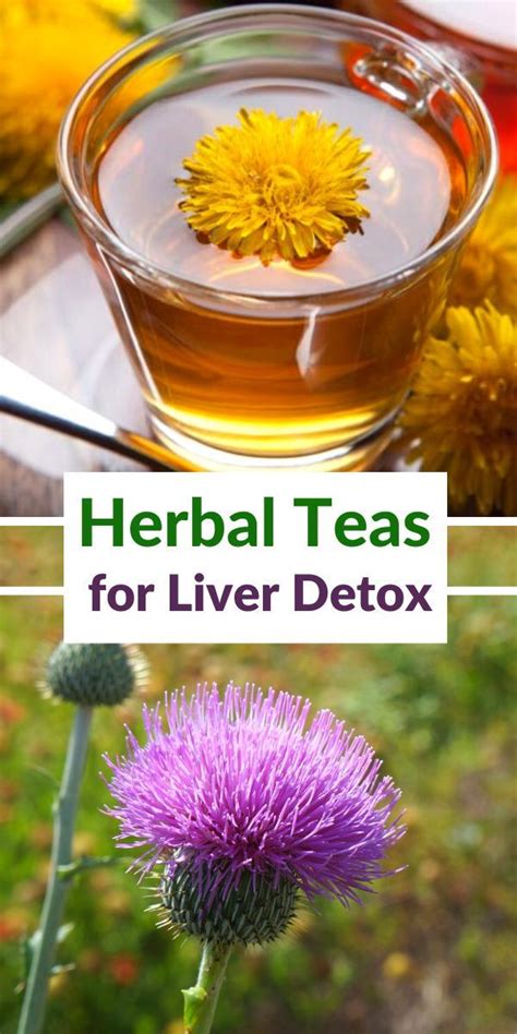 Best Herbal Teas For Liver Detox Liver Detox Tea Liver Detox Herbal