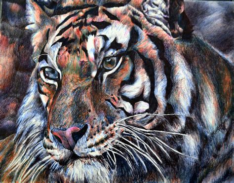 Ballpoint Pen Tiger By Vandableavins On Deviantart