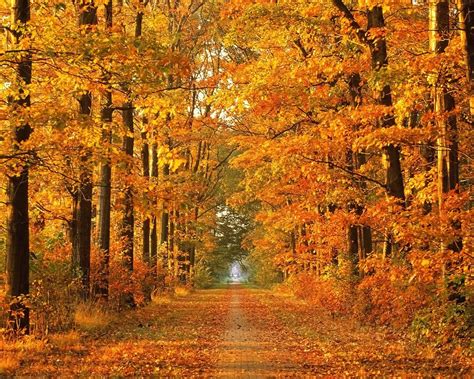Herbst-Bilder | Lothars Blog