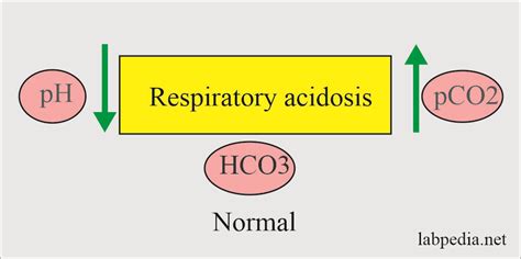 Acid Base Balance Part 3 Respiratory Acidosis And Alkalosis