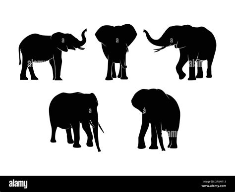 Conjunto De Elefantes Silueta Aislado En Un Fondo Blanco Ilustración