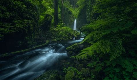 Photo Oregon S Columbia River Gorge Waterfall River Free Pictures On