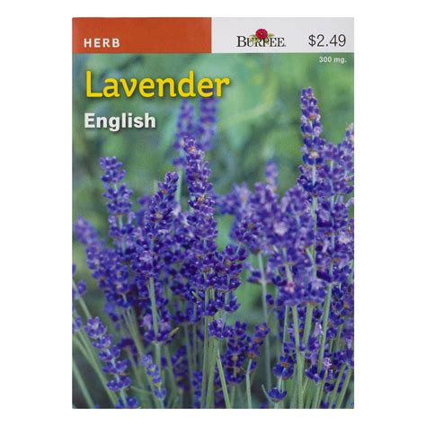 Burpee Lavender English 10 Ct