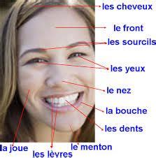 le visage | French language lessons, Learn french, French education