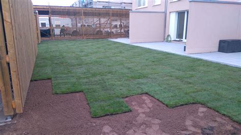 Wann kann man rollrasen verlegen? Rollrasen verlegen im Winter - Gartenpflege ...