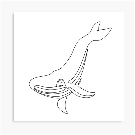 Whale Vector Line Drawing Whale Line Art By Onelineprint Redbubble