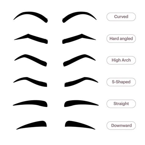 Types Of Eyebrow Stock Photos Royalty Free Types Of Eyebrow Images
