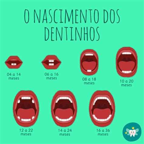 O Nascimento Dos Dentinhos Fábula Odontopediatria E Ortodontia