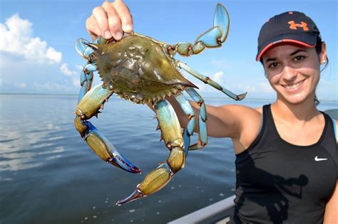 The Best Time To Go Crabbing And How To Do It