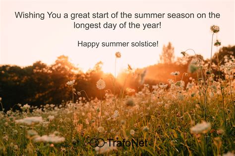 Happy Summer Solstice Trafonet