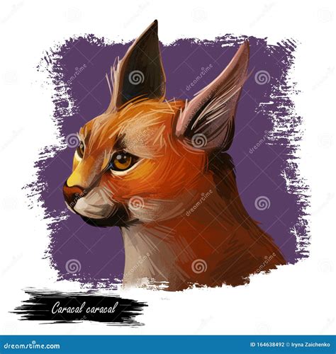 Caracal Wild Cat Isolated Vector Illustration Monochrome Sketch Icon