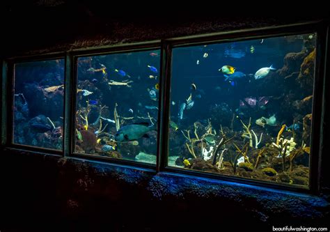 Seattle Aquarium