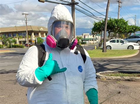 How To Find The Best Termite Exterminator In Oahu — Mid Pacific Pest
