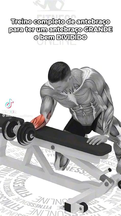 Pin De Fitness Gym Club 🏋️ Em Pins Criados Por Você Treino De Braços Exercícios De Musculação