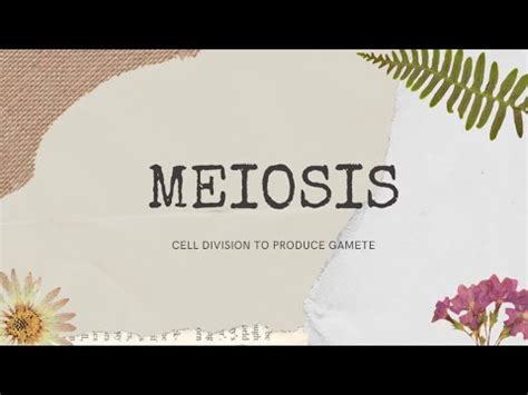 Penggunaannya buku teks digital biology form 4 kssm ini sangat mudah kerana dengan hanya. MEIOSIS - BIOLOGY KSSM FORM 4 - YouTube