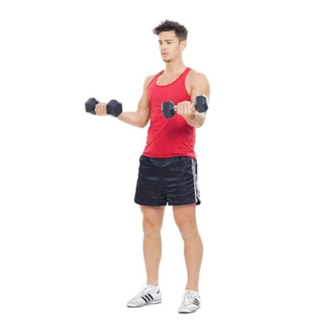 Forearms Dumbbell Wrist Twist Exercise How To