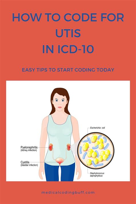 Why And How To Learn The Icd 10 Cm Coding Guidelines Artofit