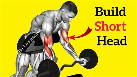 12 Most Effective Short Head Bicep Exercises For Bigger Arms Inner
