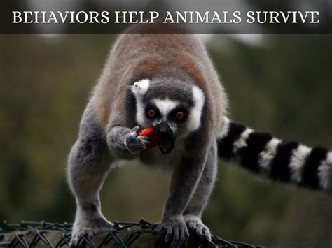 Survive And Change by Quinn Strait