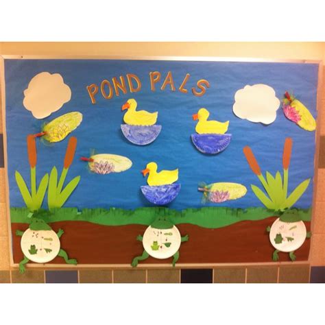 My Pond Life Bulletin Board Includes The Frog Life Cycle Dragonflies