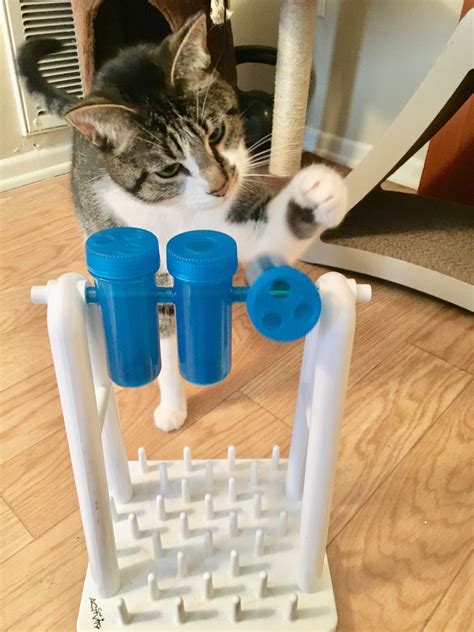 How To Make Your Own Kitty Enrichment Feeders And Toys Cat Ownership