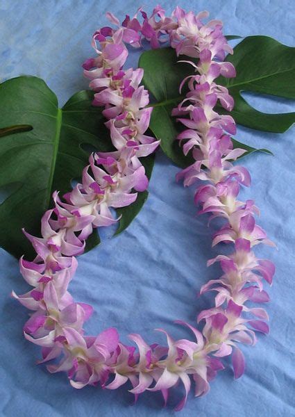 Hawaiian Lei Orchid Leis Fresh From Hawaii To You Hawaiian Lei